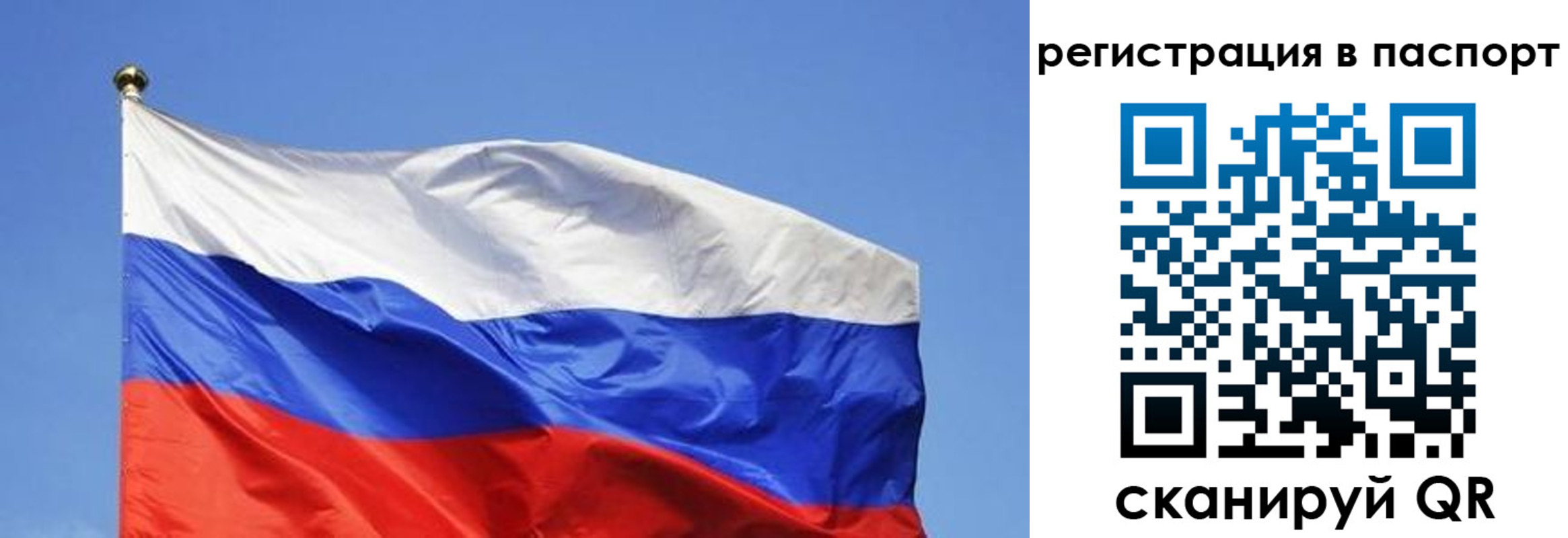 прописка в квартире в Гагарине